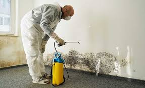 Best Mold Prevention Services  in Greenville, PA