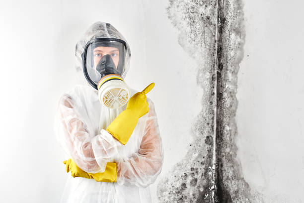 Best Residential Mold Inspection & Testing  in Greenville, PA