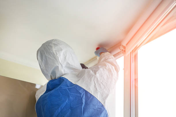 Best Emergency Mold Remediation  in Greenville, PA