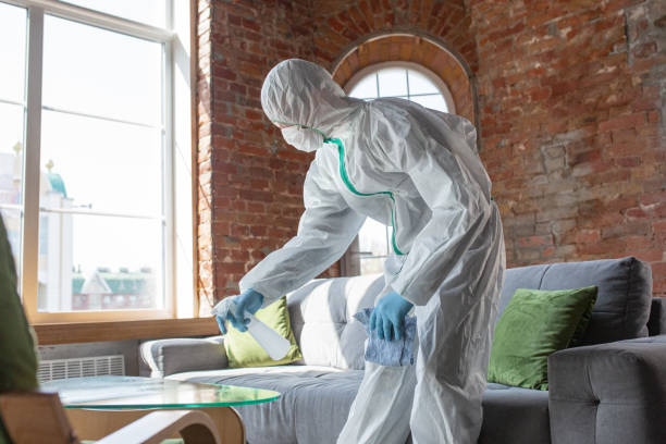 Best Biohazard Mold Removal  in Greenville, PA