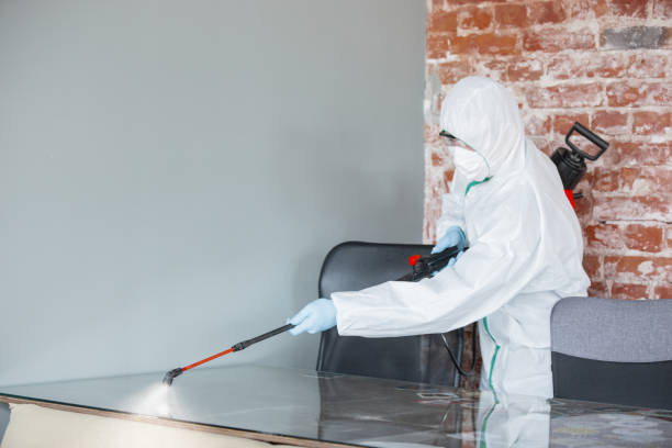 Best Mold Odor Removal Services  in Greenville, PA